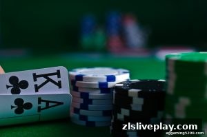 AG真人 zlsliveplay