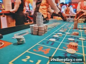 AG真人 zlsliveplay