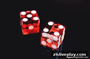 AG真人 zlsliveplay